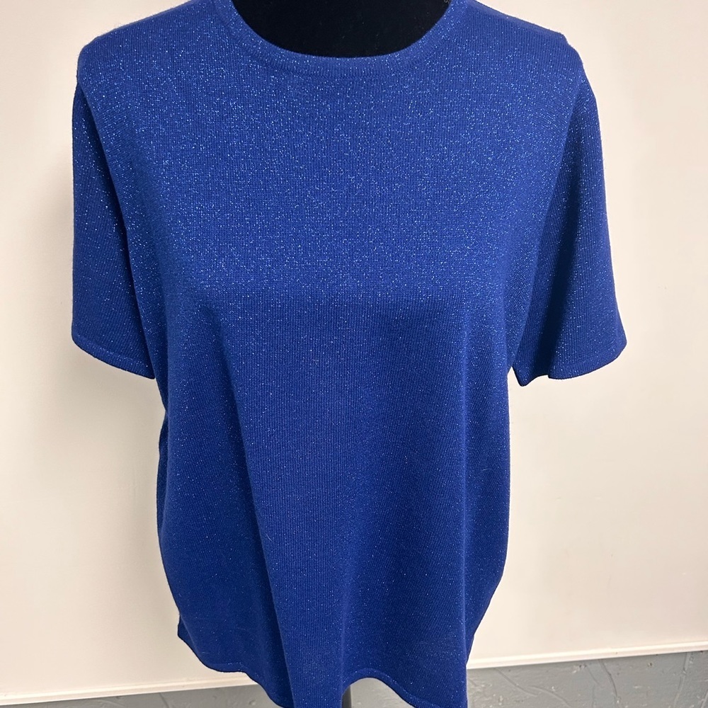 Alia Blue Short Sleeve Sweater
